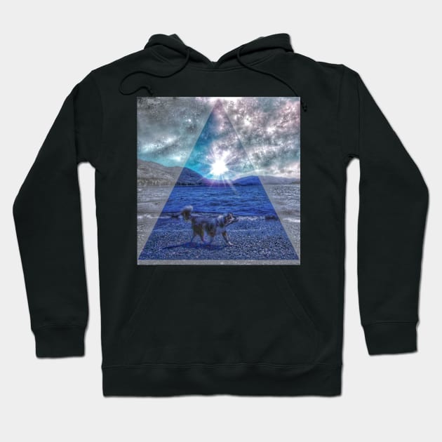 Midnight Dream Dog Hoodie by PickleDesigns